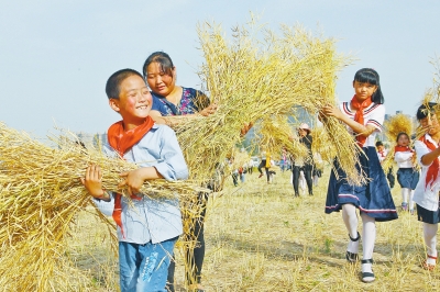 郑州一小学有个农趣园 师生们可在这播种劳作收获
